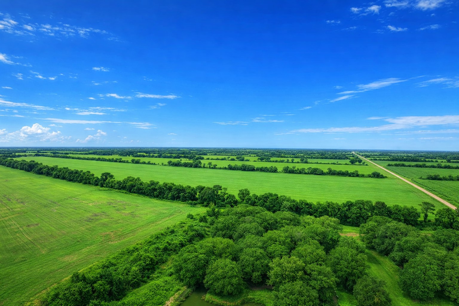 Aerial view of agroforestry plantation